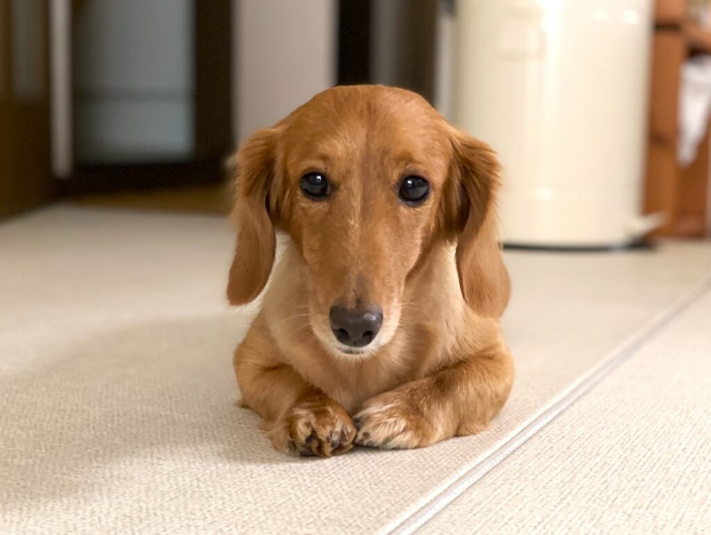 プレゼント 喜んでもらえなかった時の対処法を具体例で紹介