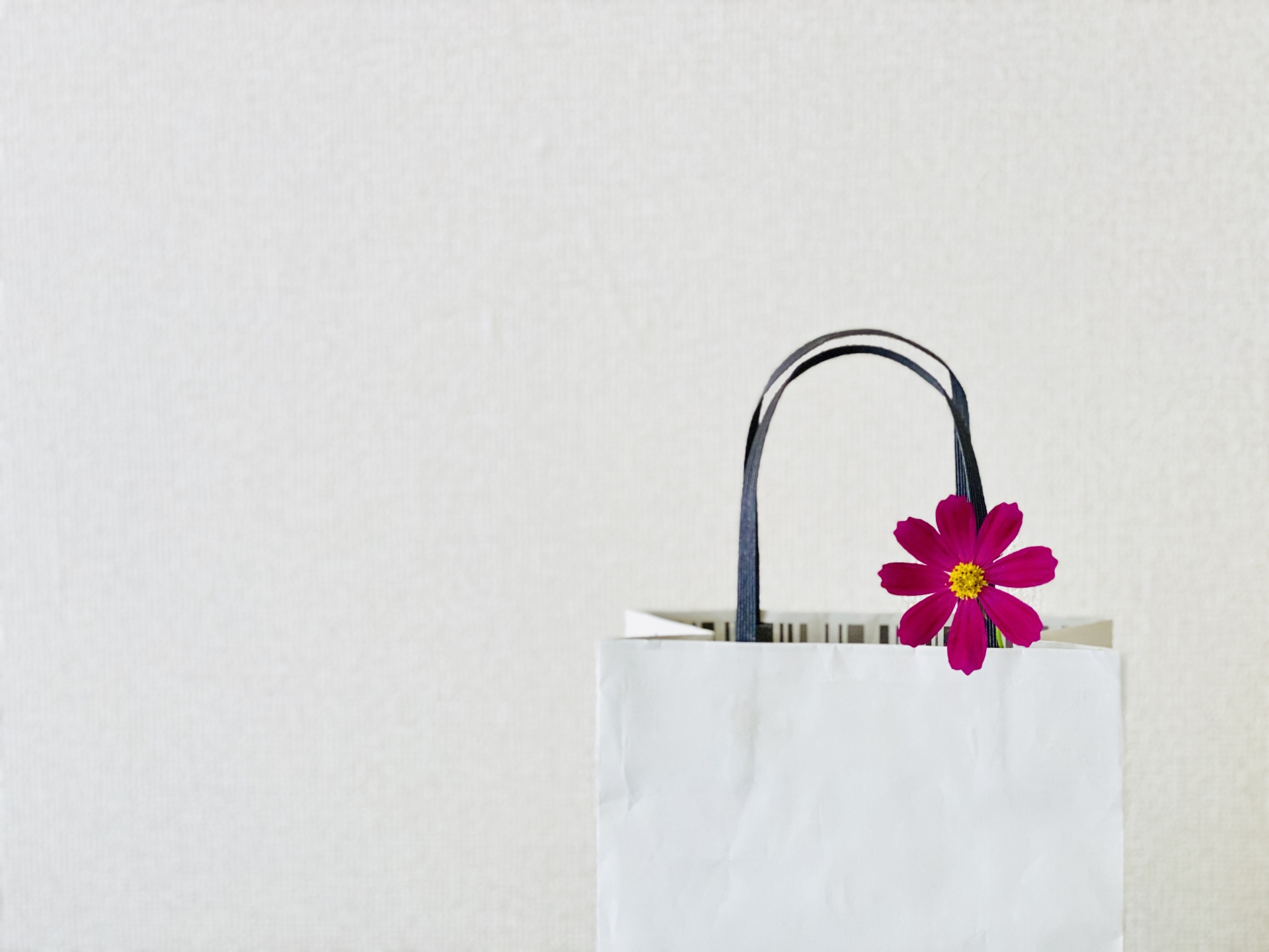 プレゼント用紙袋 コンビニで迷わない！おしゃれで使える代用品まとめ